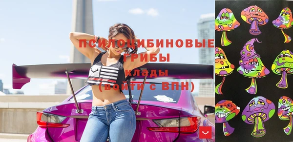Альфа ПВП Алзамай