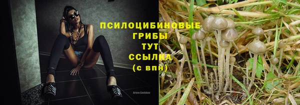 хмурый Покров